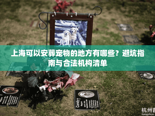 上海可以安葬宠物的地方有哪些？避坑指南与合法机构清单