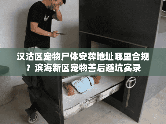 汉沽区宠物尸体安葬地址哪里合规？滨海新区宠物善后避坑实录