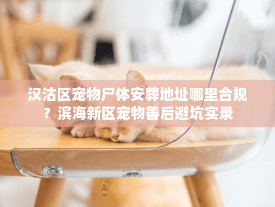 汉沽区宠物尸体安葬地址哪里合规？滨海新区宠物善后避坑实录