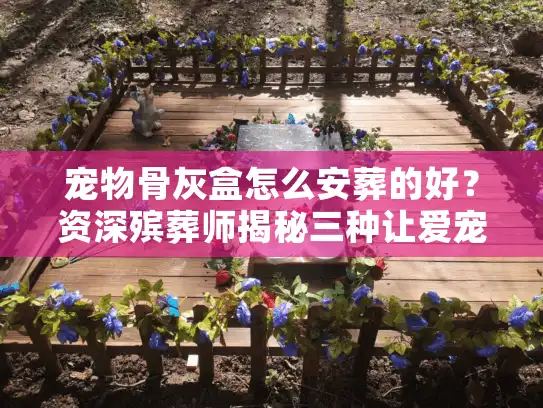 宠物骨灰盒怎么安葬的好？资深殡葬师揭秘三种让爱宠永恒安息的终极方案