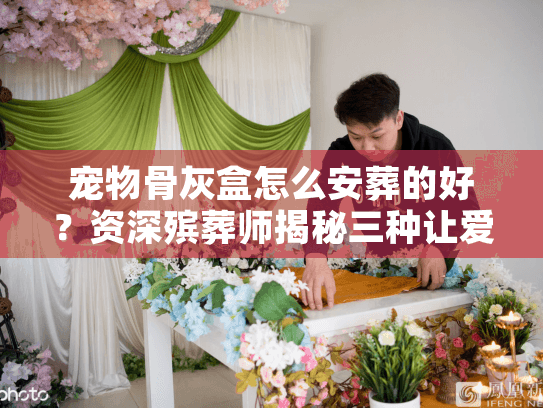 宠物骨灰盒怎么安葬的好？资深殡葬师揭秘三种让爱宠永恒安息的终极方案