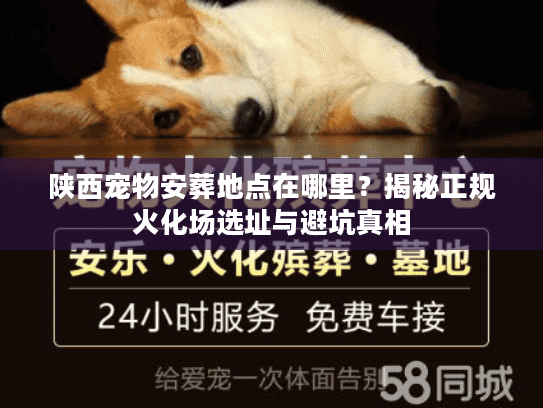 陕西宠物安葬地点在哪里?揭秘正规火化场选址与避坑真相 陕西宠物安葬地点在哪里?揭秘正规火化场选址与避坑真相