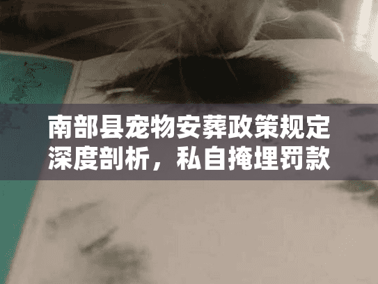 南部县宠物安葬政策规定深度剖析,私自掩埋罚款与合规火化全流程 南部县宠物安葬政策规定深度剖析,私自掩埋罚款与合规火化全流程