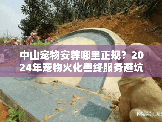 中山宠物安葬哪里正规？2024年宠物火化善终服务避坑实录