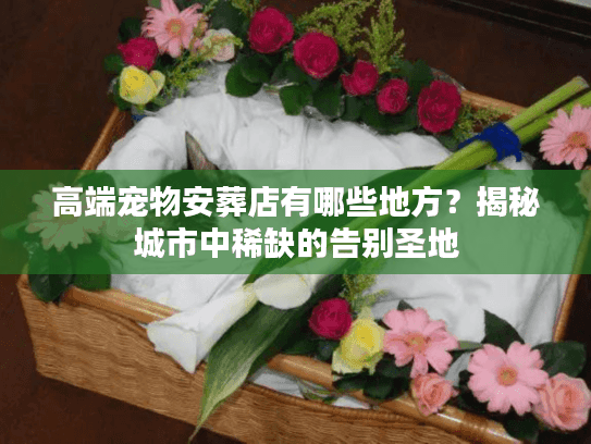 高端宠物安葬店有哪些地方？揭秘城市中稀缺的告别圣地