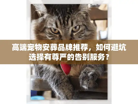 高端宠物安葬品牌推荐,如何避坑选择有尊严的告别服务? 高端宠物安葬品牌推荐,如何避坑选择有尊严的告别服务?