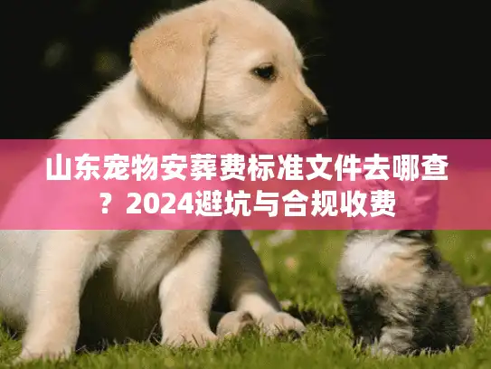 山东宠物安葬费标准文件去哪查？2024避坑与合规收费