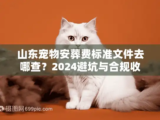 山东宠物安葬费标准文件去哪查？2024避坑与合规收费