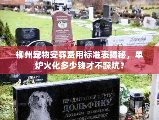 柳州宠物安葬费用标准表揭秘,单炉火化多少钱才不踩坑? 柳州宠物安葬费用标准表揭秘,单炉火化多少钱才不踩坑?