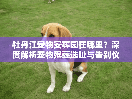 牡丹江宠物安葬园在哪里？深度解析宠物殡葬选址与告别仪式