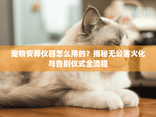 宠物安葬仪器怎么用的？揭秘无公害火化与告别仪式全流程