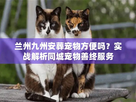 兰州九州安葬宠物方便吗？实战解析同城宠物善终服务