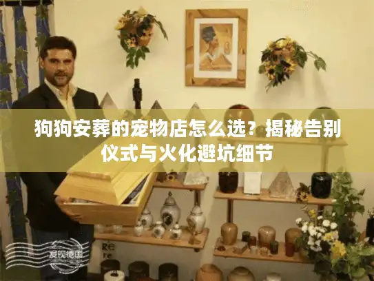 狗狗安葬的宠物店怎么选？揭秘告别仪式与火化避坑细节