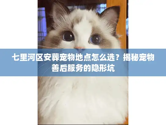 七里河区安葬宠物地点怎么选？揭秘宠物善后服务的隐形坑