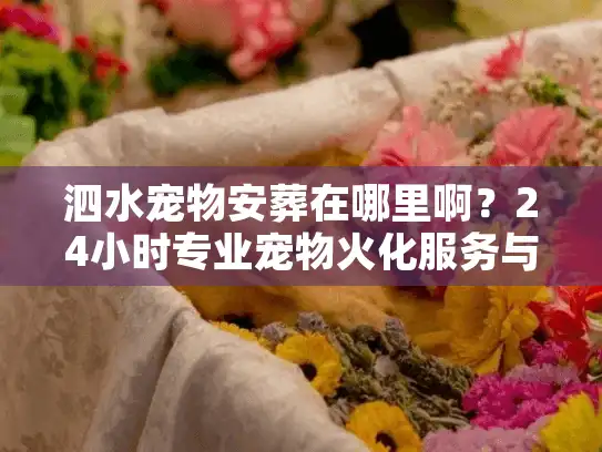 泗水宠物安葬在哪里啊?24小时专业宠物火化服务与收费标准 泗水宠物安葬在哪里啊?24小时专业宠物火化服务与收费标准