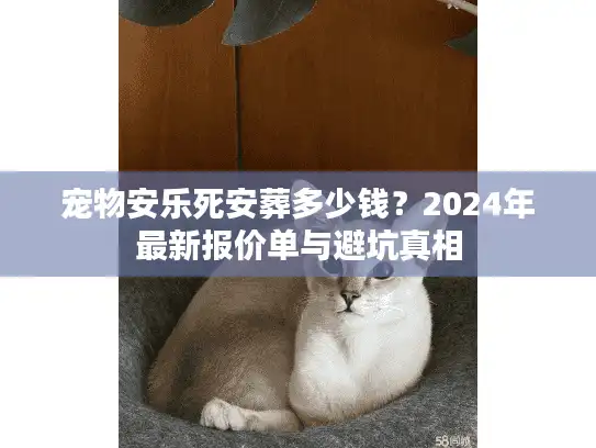 宠物安乐死安葬多少钱？2024年最新报价单与避坑真相