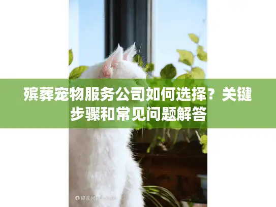 殡葬宠物服务公司如何选择？关键步骤和常见问题解答