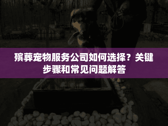 殡葬宠物服务公司如何选择？关键步骤和常见问题解答
