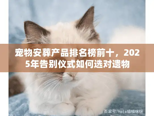 宠物安葬产品排名榜前十，2025年告别仪式如何选对遗物