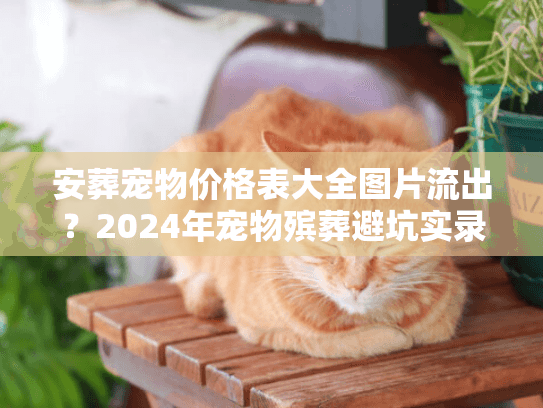 安葬宠物价格表大全图片流出？2024年宠物殡葬避坑实录