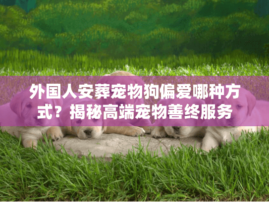 外国人安葬宠物狗偏爱哪种方式？揭秘高端宠物善终服务