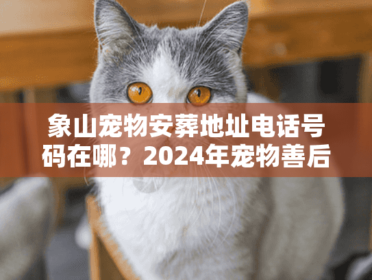 象山宠物安葬地址电话号码在哪？2024年宠物善后服务全渠道解析