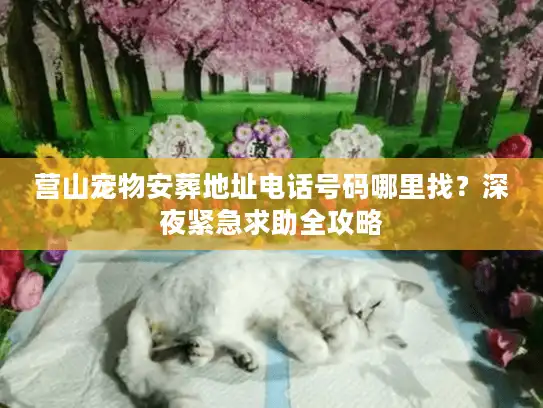 营山宠物安葬地址电话号码哪里找？深夜紧急求助全攻略