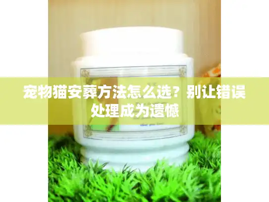 宠物猫安葬方法怎么选？别让错误处理成为遗憾