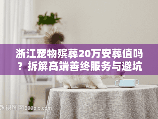 浙江宠物殡葬20万安葬值吗?拆解高端善终服务与避坑实录 浙江宠物殡葬20万安葬值吗?拆解高端善终服务与避坑实录