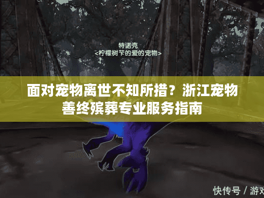 面对宠物离世不知所措?浙江宠物善终殡葬专业服务指南 面对宠物离世不知所措?浙江宠物善终殡葬专业服务指南