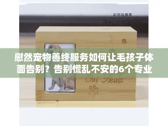 慰然宠物善终服务如何让毛孩子体面告别？告别慌乱不安的6个专业方案