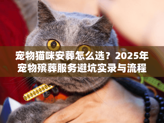 宠物猫咪安葬怎么选？2025年宠物殡葬服务避坑实录与流程揭秘