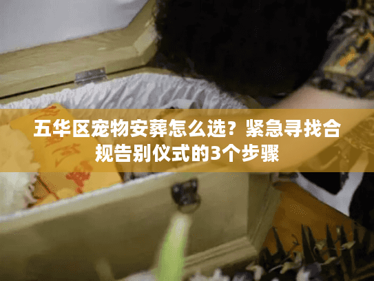五华区宠物安葬怎么选？紧急寻找合规告别仪式的3个步骤