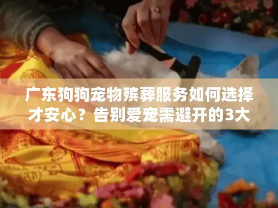 广东狗狗宠物殡葬服务如何选择才安心？告别爱宠需避开的3大误区