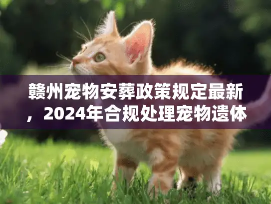 赣州宠物安葬政策规定最新，2024年合规处理宠物遗体的唯一解