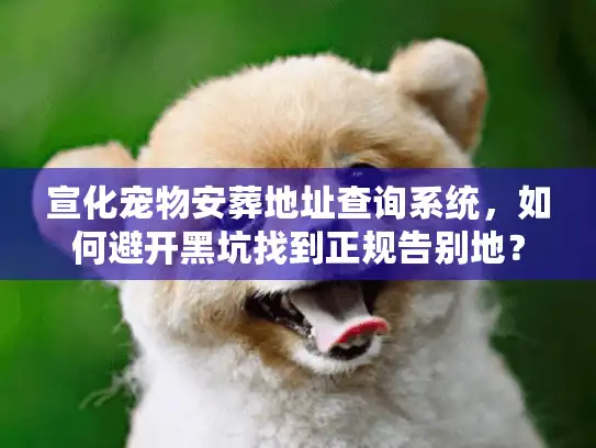 宣化宠物安葬地址查询系统，如何避开黑坑找到正规告别地？