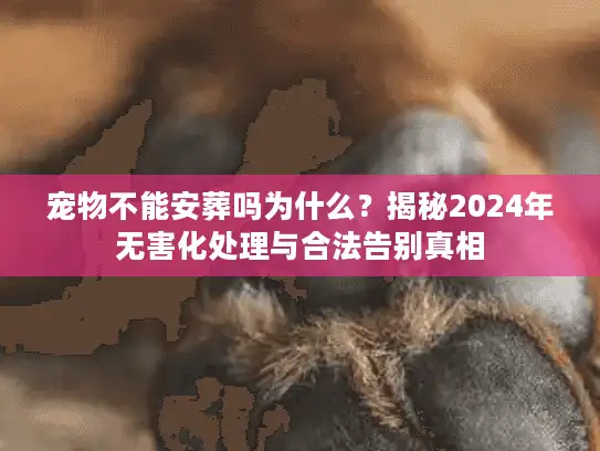 宠物不能安葬吗为什么?揭秘2024年无害化处理与合法告别真相 宠物不能安葬吗为什么?揭秘2024年无害化处理与合法告别真相