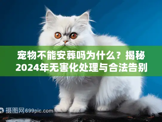 宠物不能安葬吗为什么?揭秘2024年无害化处理与合法告别真相 宠物不能安葬吗为什么?揭秘2024年无害化处理与合法告别真相