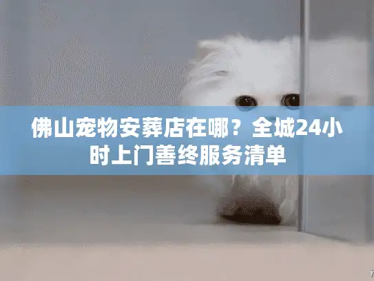 佛山宠物安葬店在哪？全城24小时上门善终服务清单