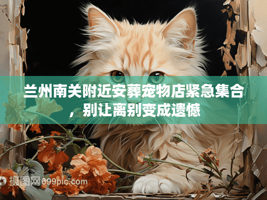 兰州南关附近安葬宠物店紧急集合,别让离别变成遗憾 兰州南关附近安葬宠物店紧急集合,别让离别变成遗憾
