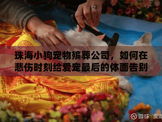 珠海小狗宠物殡葬公司，如何在悲伤时刻给爱宠最后的体面告别？