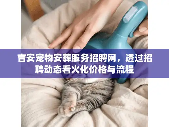 吉安宠物安葬服务招聘网，透过招聘动态看火化价格与流程