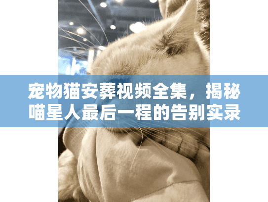 宠物猫安葬视频全集，揭秘喵星人最后一程的告别实录