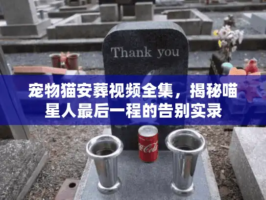 宠物猫安葬视频全集，揭秘喵星人最后一程的告别实录