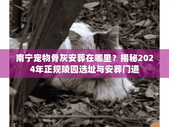 南宁宠物骨灰安葬在哪里？揭秘2024年正规陵园选址与安葬门道