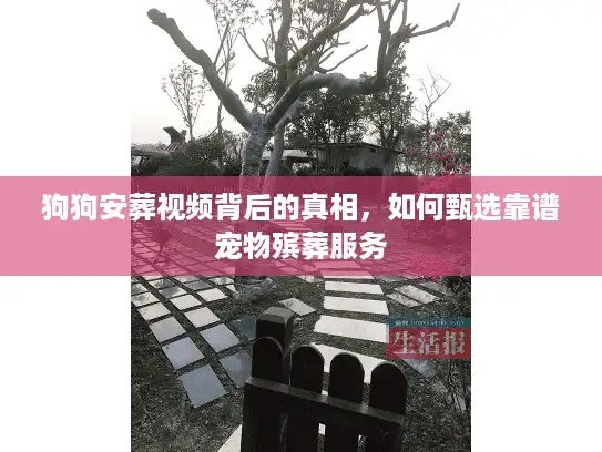 狗狗安葬视频背后的真相，如何甄选靠谱宠物殡葬服务