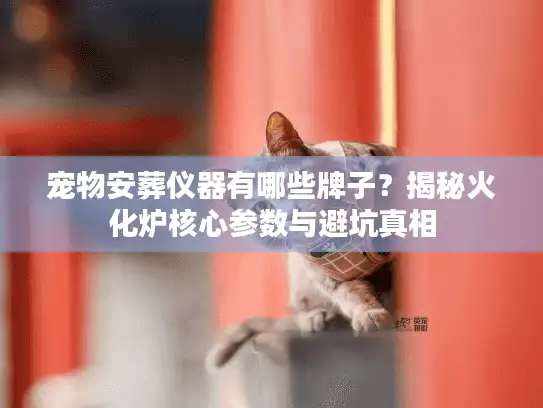 宠物安葬仪器有哪些牌子？揭秘火化炉核心参数与避坑真相