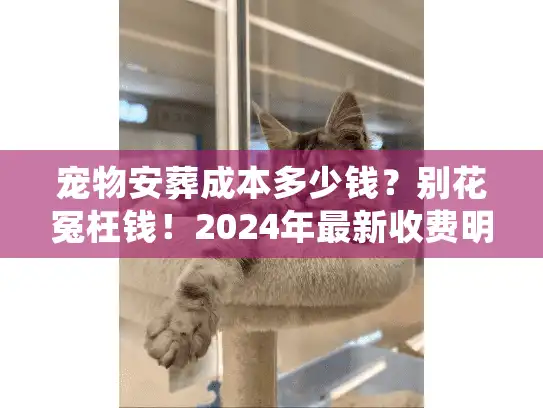 宠物安葬成本多少钱？别花冤枉钱！2024年最新收费明细大公开
