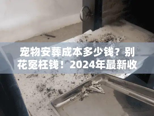 宠物安葬成本多少钱？别花冤枉钱！2024年最新收费明细大公开