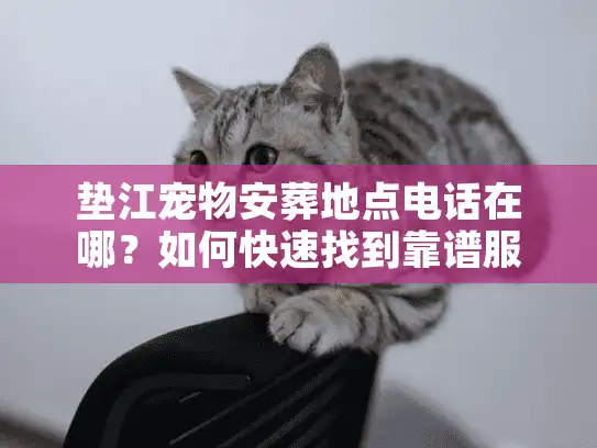 垫江宠物安葬地点电话在哪?如何快速找到靠谱服务 垫江宠物安葬地点电话在哪?如何快速找到靠谱服务